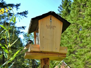 birdhouse