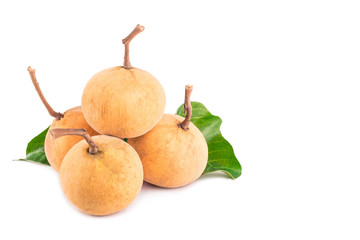 ripe santol fruits group and green santol leaf  on white background planting agriculture food isolated