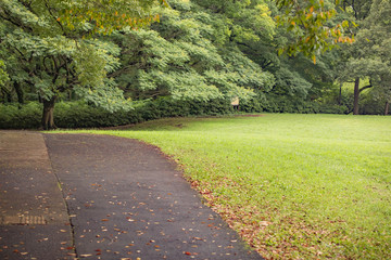 夏　日本　公園