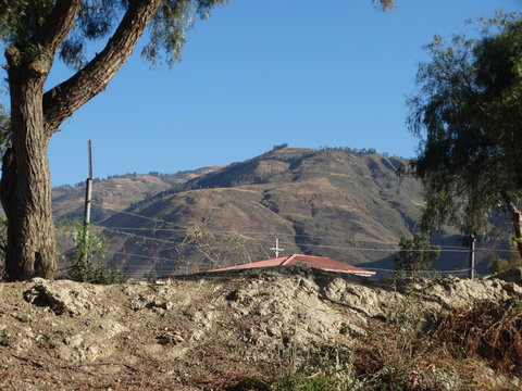 landscape in desert