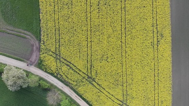 Lake Feringasee in Munich Germany with a drone made in 4k 30fps