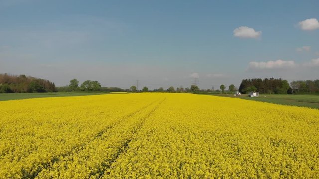 Lake Feringasee in Munich Germany with a drone made in 4k 30fps
