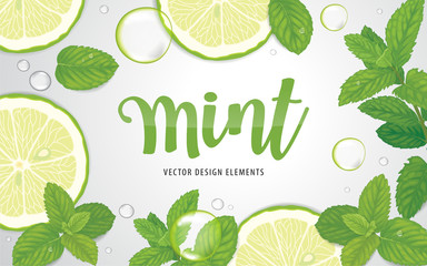 Green mint leaves with lime on background template. Vector set of herbal element for advertising, packaging design, greeting card and fashion design.