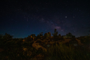 Night Sky at Joshua Tree National Park,  California