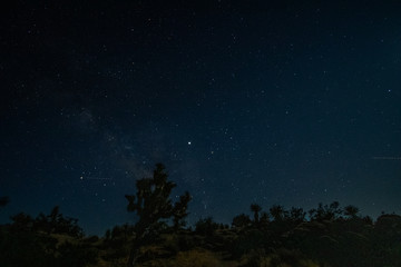 Fototapeta na wymiar Night Sky at Joshua Tree National Park, California