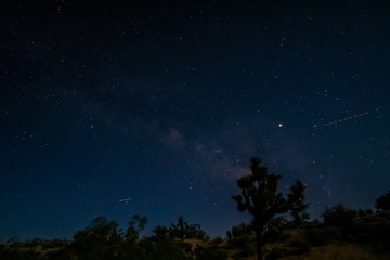 Obraz na płótnie Canvas Night Sky at Joshua Tree National Park, California