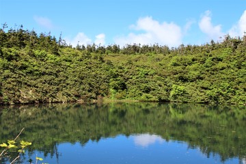 八幡平の自然