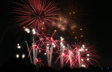 The Fireworks at Japanese Summer Event