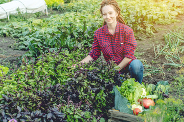 Young happy woman farmer agronomist collects fresh vegetables in the garden. Organic raw products grown on a home farm