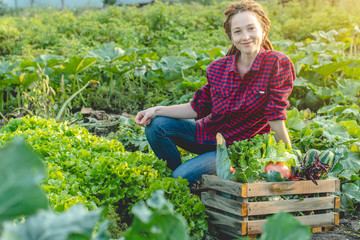Young happy woman farmer agronomist collects fresh vegetables in the garden. Organic raw products grown on a home farm
