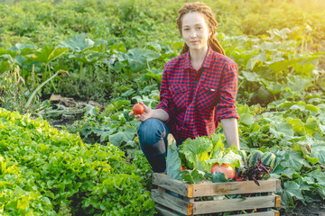 Young happy woman farmer agronomist collects fresh vegetables in the garden. Organic raw products grown on a home farm
