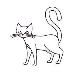 cat happy halloween celebration design
