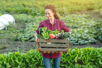 Young woman farmer agronomist holds a box of fresh vegetables in the garden. Organic raw products grown on a home farm