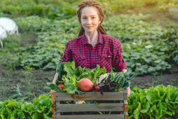 Young woman farmer agronomist holds a box of fresh vegetables in the garden. Organic raw products grown on a home farm