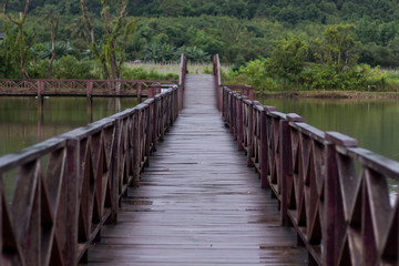 Obraz premium Wooden bridge in the swamp
