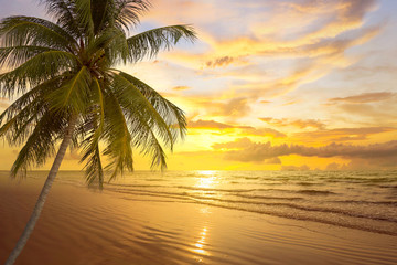 Naklejka na ściany i meble tropical palm tree and sea at sunset