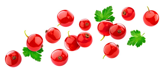 Red currant isolated on white background with clipping path