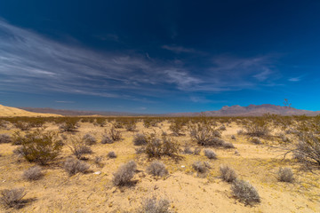 Sand Dunes In Mojave Desert National Preserve