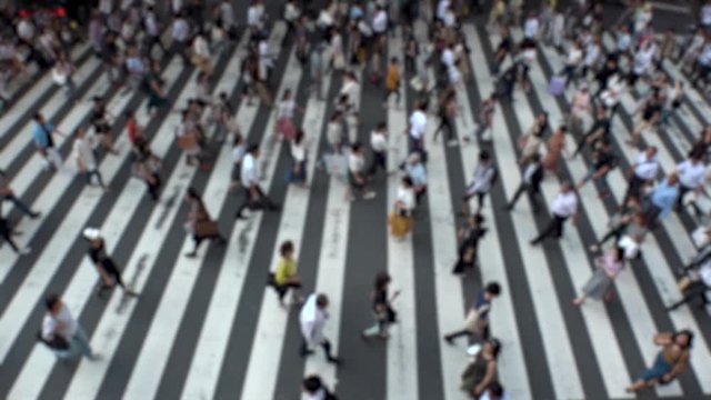UMEDA, OSAKA, JAPAN - CIRCA JULY 2019 : Aerial blurred view of zebra crossing near Osaka train station. Crowd of people at the street. Shot in busy rush hour. Slow motion.