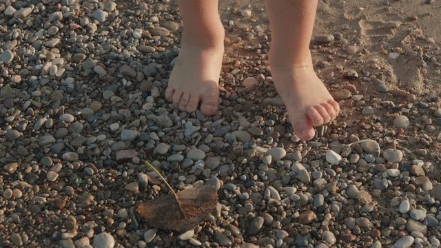 Close Up of Child legs (feet, foot, steps) walking on the pebbles sandy beach, water. Cute little kid (boy, two years old). Summertime, sunny day 