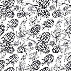 Vector Raspberry healthy food isolated. Black and white engraved ink art. Seamless background pattern.
