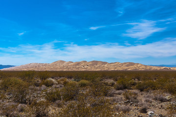 Fototapeta na wymiar Sand Dunes In Mojave Desert National Preserve
