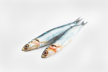 Photo detail of two fresh isolated anchovies on a white background. Concept of seafood.