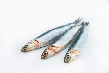Three fresh anchovies on a white background. Concept of seafood.