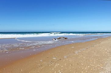 Driftwood in the sand.
