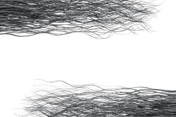 Wet brown hair isolated on white. Background, copy space