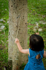 Asian 1 year old toddler is busy playing in a tropical park in the morning. Playing with nature.