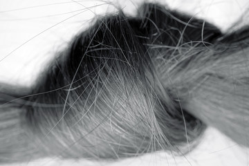 Macro shot of hair knot, brown color