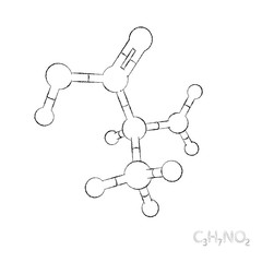 Alanine model molecule. Isolated on white background. Sketch illustration.