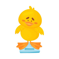 Cute duckling is standing on the scales. Vector illustration on a white background.