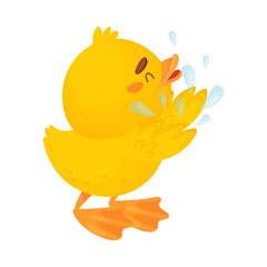 Cute duckling is washing himself. Vector illustration on a white background.
