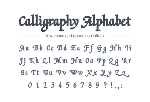 Calligraphy alphabet. Universal handwritten bold font for package, banner, headline. Retro style classic hand drawn script. Vintage business logo design. Modern vector typeface with letters, numbers