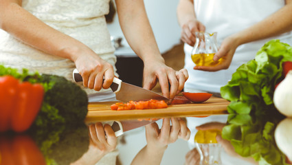Closeup of human hands cooking in kitchen. Mother and daughter or two female friends cutting vegetables for fresh salad. Friendship, family dinner and lifestyle concepts