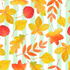Obraz premium Light seamless pattern of yellow and red autumn leaves.