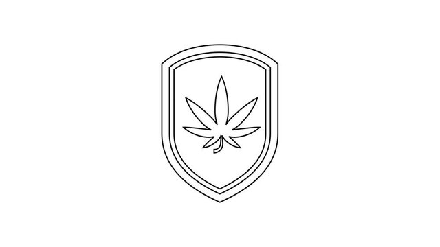 Black Shield and marijuana or cannabis leaf line icon on white background. Marijuana legalization. Hemp symbol. 4K Video motion graphic animation