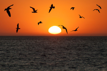 Atardecer en Costa Ballena, Chipiona