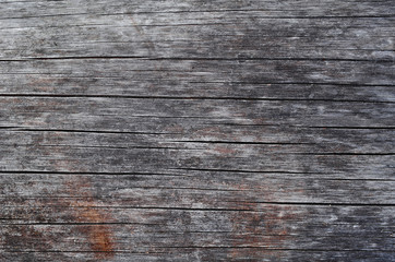 The surface of a dry tree with cracks closeup. Macro, texture, design, wallpaper