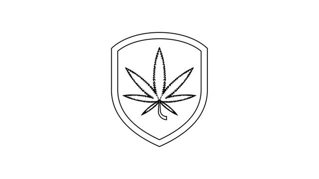 Black Shield and marijuana or cannabis leaf line icon on white background. Marijuana legalization. Hemp symbol. 4K Video motion graphic animation