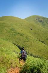 Trekking / Hiking at Kudremukh or Kudremukha national park in Chikmagalur, Karnataka, India. Nature walk amidst green landscape in monsoon season. Beautiful greenery in Forest/ jungle. Tiger reserve