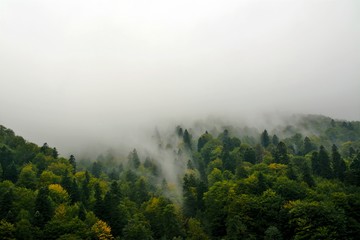 Obraz na płótnie Canvas landscape with clouds descending on the forest