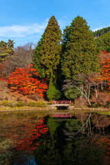 池に映り込む紅葉した森