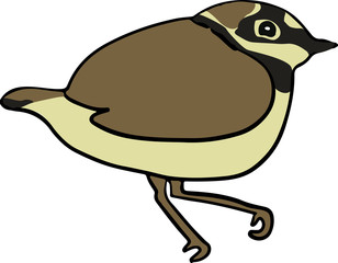 チドリ　ワンポイント絵　水辺生物