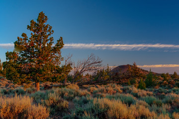 Fototapeta premium Sunrise Over Lava Beds National Monument