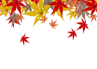 モミジイラスト