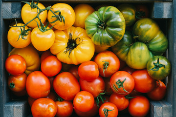 Colorful ripe organic tomatoes on dark rustic table. Fall heirloom. Food background, close up view, flat lay