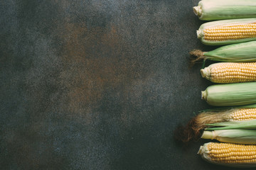 Raw Organic Corn On Dark Gray Background. Creative flat lay. Food concept